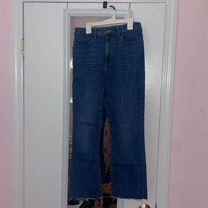 Express flare jeans